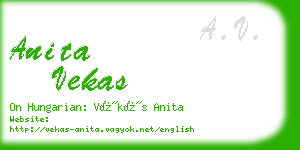 anita vekas business card